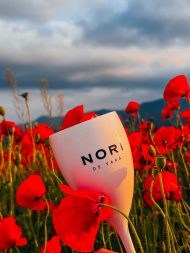 Pachet Rosé - 4 Sticle + 2 Pahare NORI - imagine 3