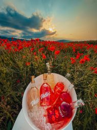 Pachet de vară - 6 sticle - imagine 5