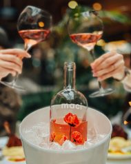 MACI - Fetească Neagră & Cabernet Sauvignon - sec - imagine 4