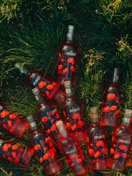 MACI - Fetească Neagră & Cabernet Sauvignon - sec - imagine 6